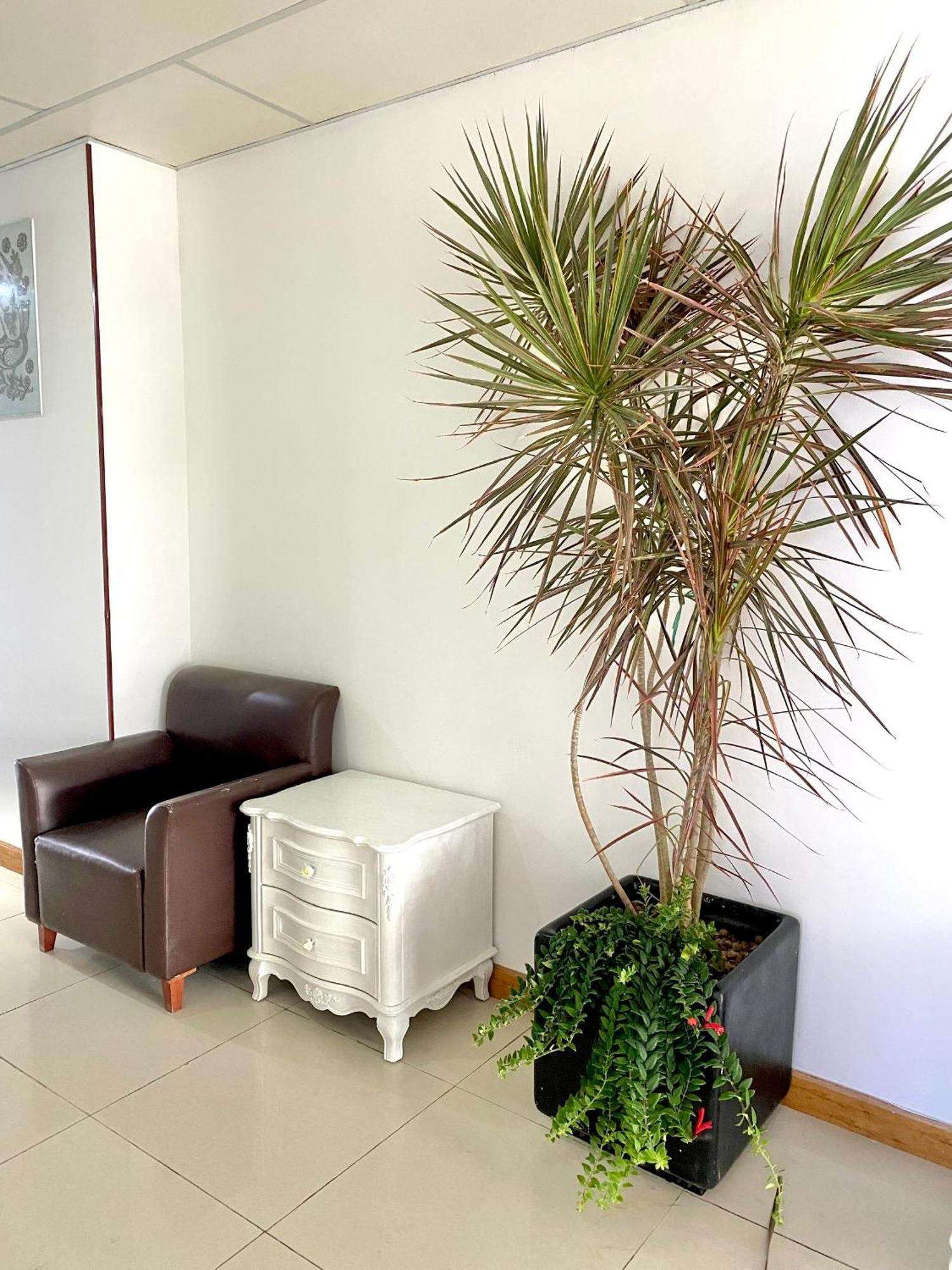 Zozo House - Homestay Bai Sau 붕타우 외부 사진